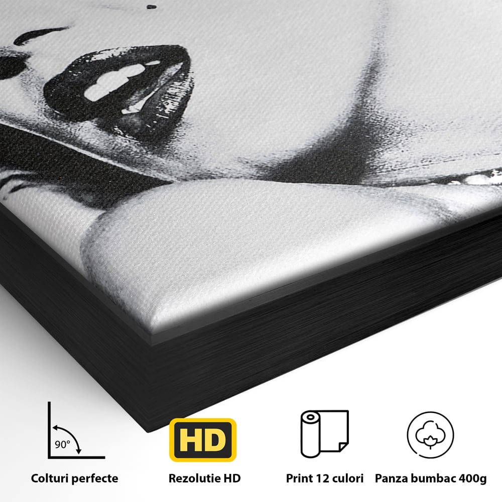 Detaliu al suprafetei: tablou canvas cu marilyn monroe alb negru, in rama de aluminiu negru